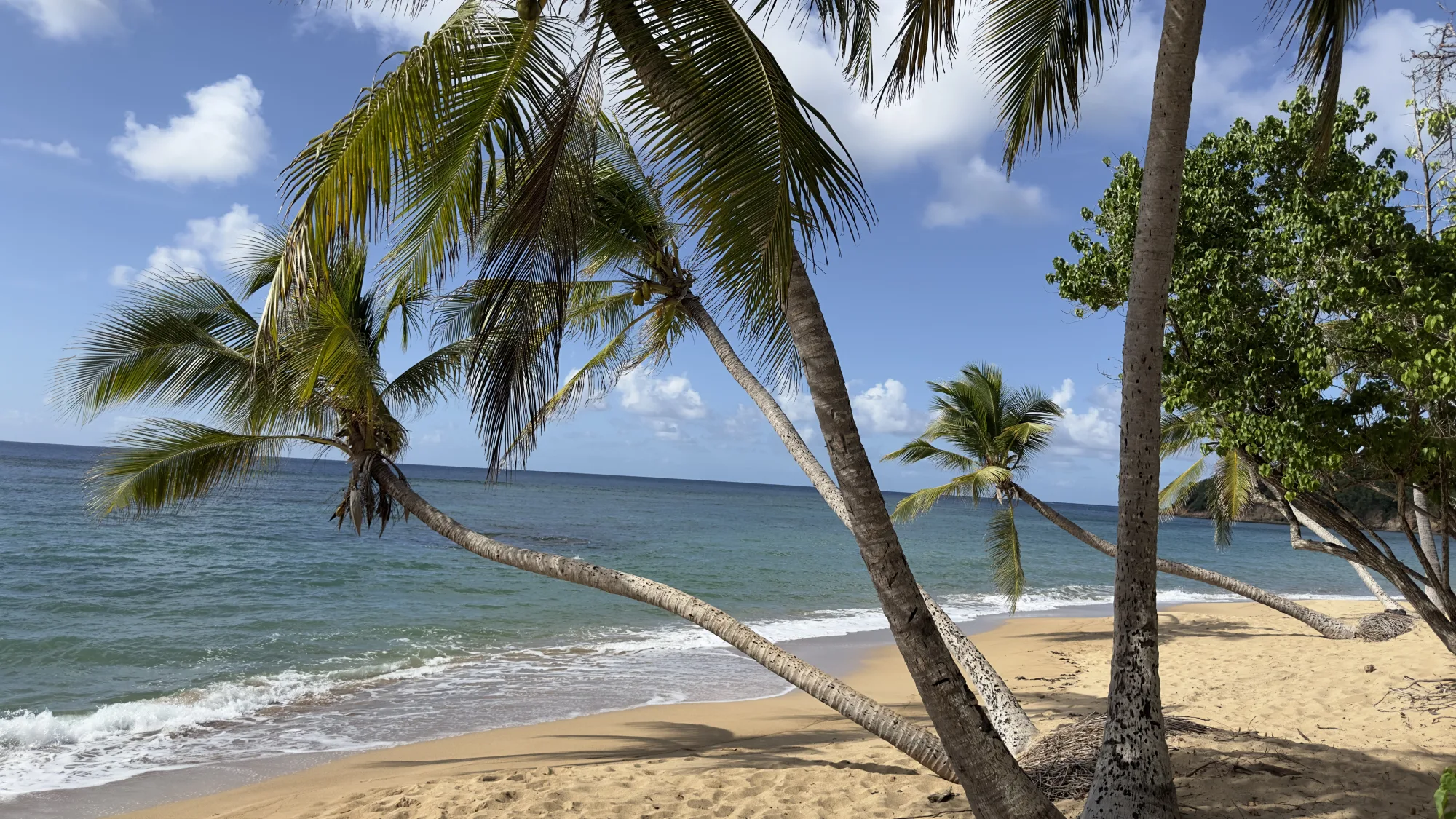 Pristine white sand and turquoise reef in the Grenadines